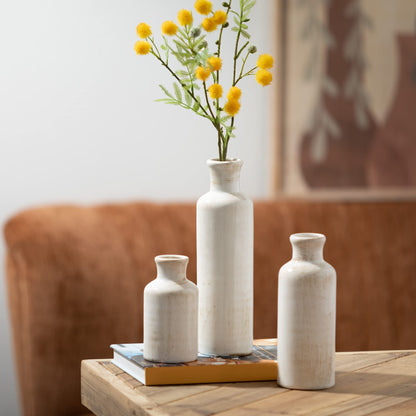 Ensemble de vases en céramique blanche, décoration de ferme