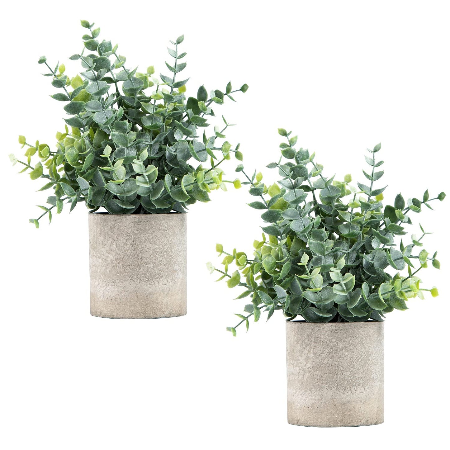 Lot de 2 petites plantes artificielles en pot d'eucalyptus pour étagère, bureau, maison, salle de bain, ferme, table basse, décoration (vert sauge)